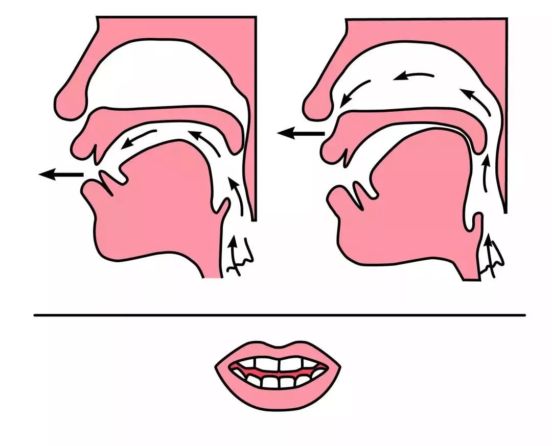小学低年级前后鼻音发音技巧 (附:平翘舌音 前后鼻音)易错字归类