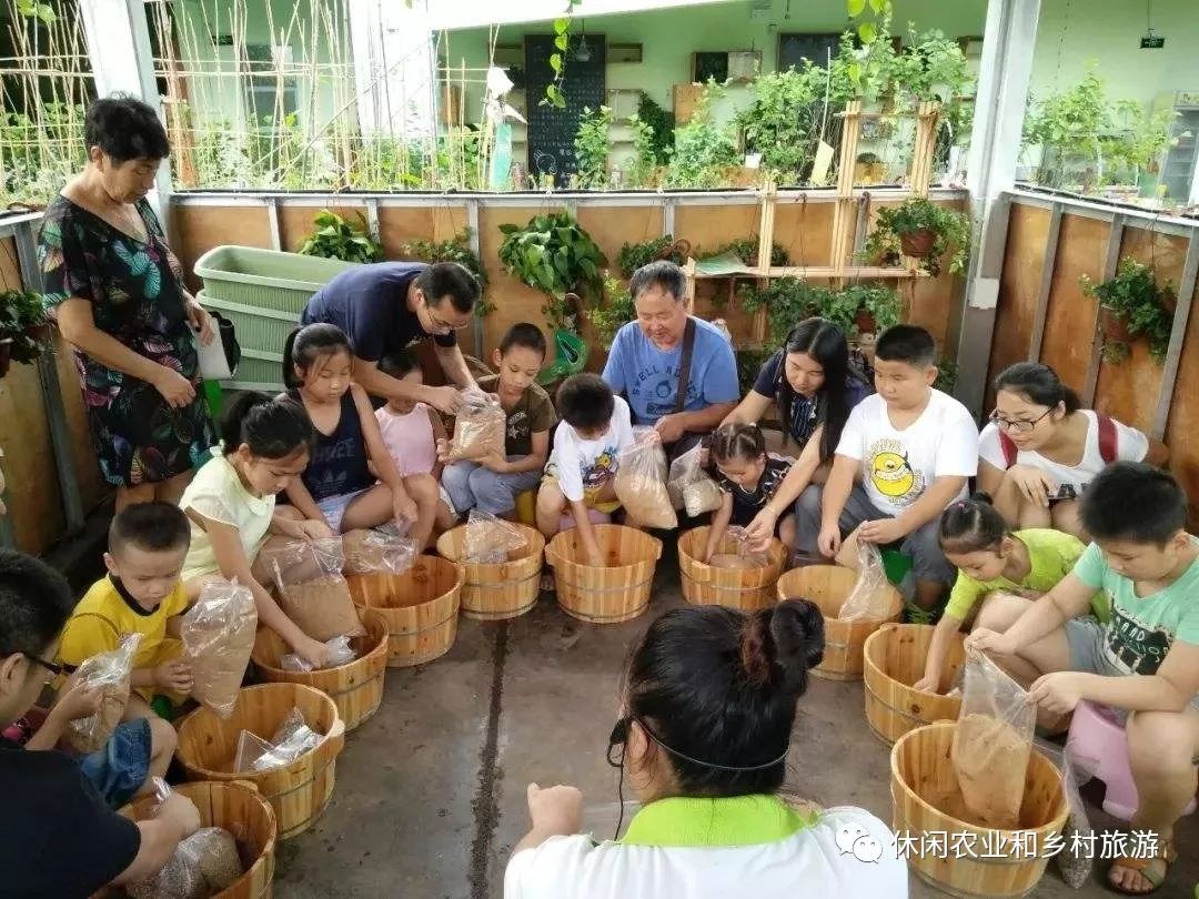 科普学校,科普培训基地等,儿童可以通过参观体验农业文化