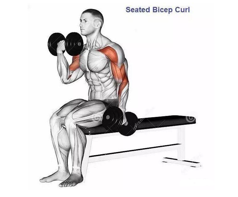 小臂肌肉锻炼方法图片