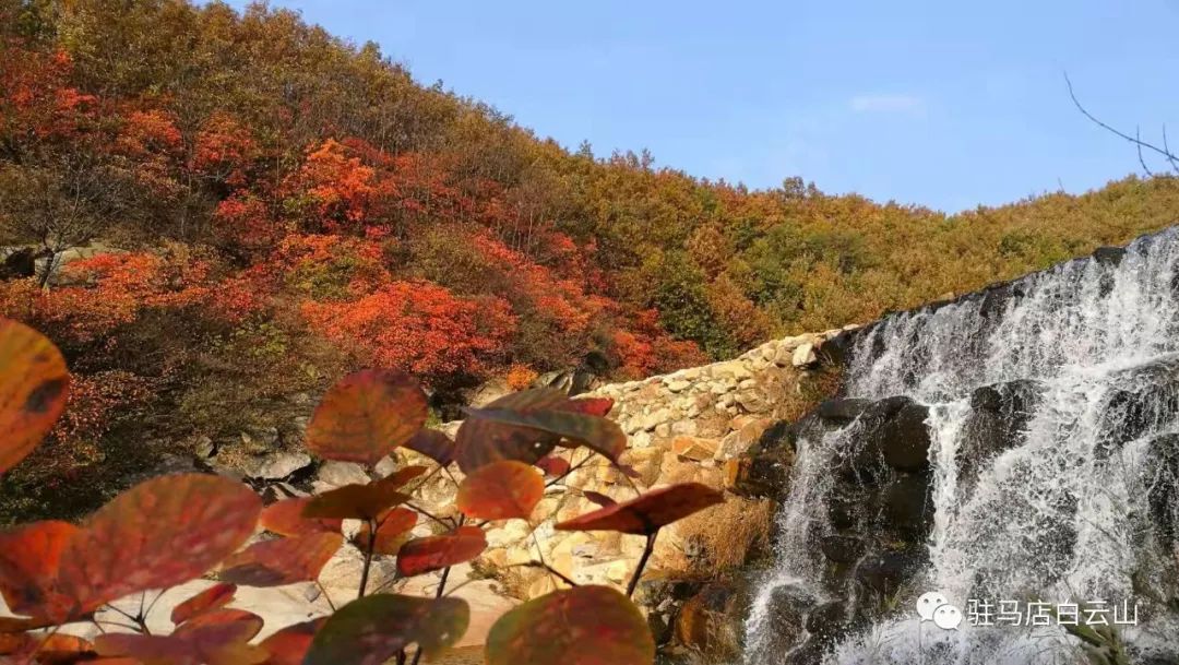 赏红叶路线 1,泌阳至白云山:走s334省道往确山方向,过铜山湖风景区