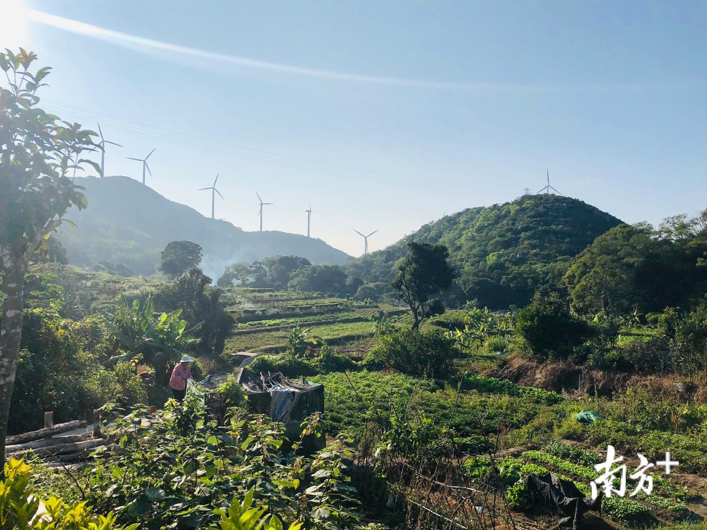 美丽乡村汕头行:南澳后花园村做汕头名副其实"后花园"