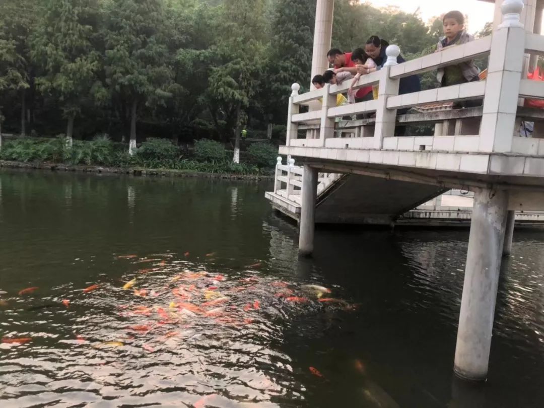 航拍大片告訴你,原來均安的翠湖公園這麼美!