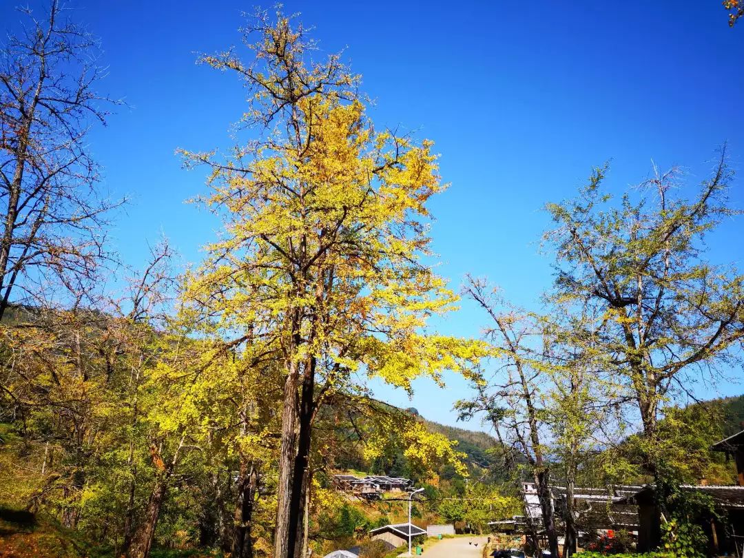 临海尤溪龙门景区图片