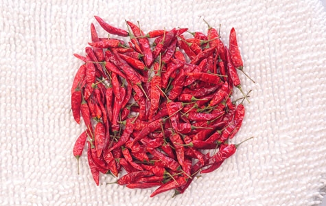 子弹头辣椒,适宜火锅配料的优良品种