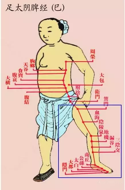 每个人的小腿内侧,都隐藏着一个秘密!每晚拍35下的话,第二天