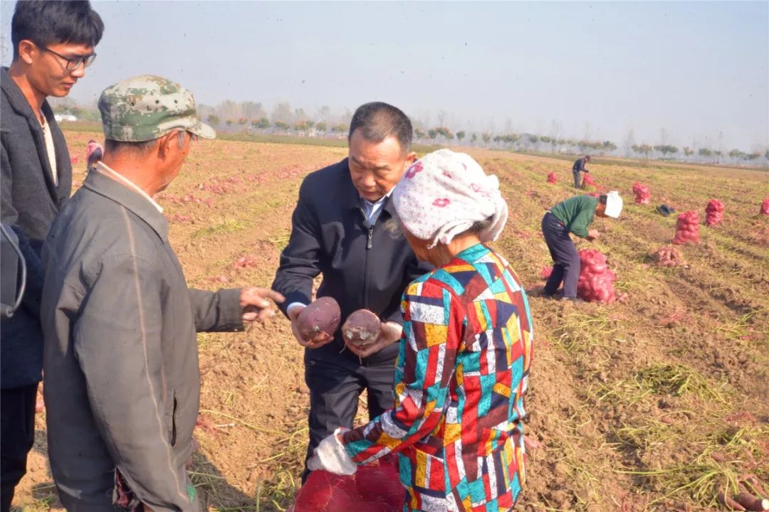 农交会结束后还没来得及歇脚,就又风尘仆仆的赶回村里,深入田间地头