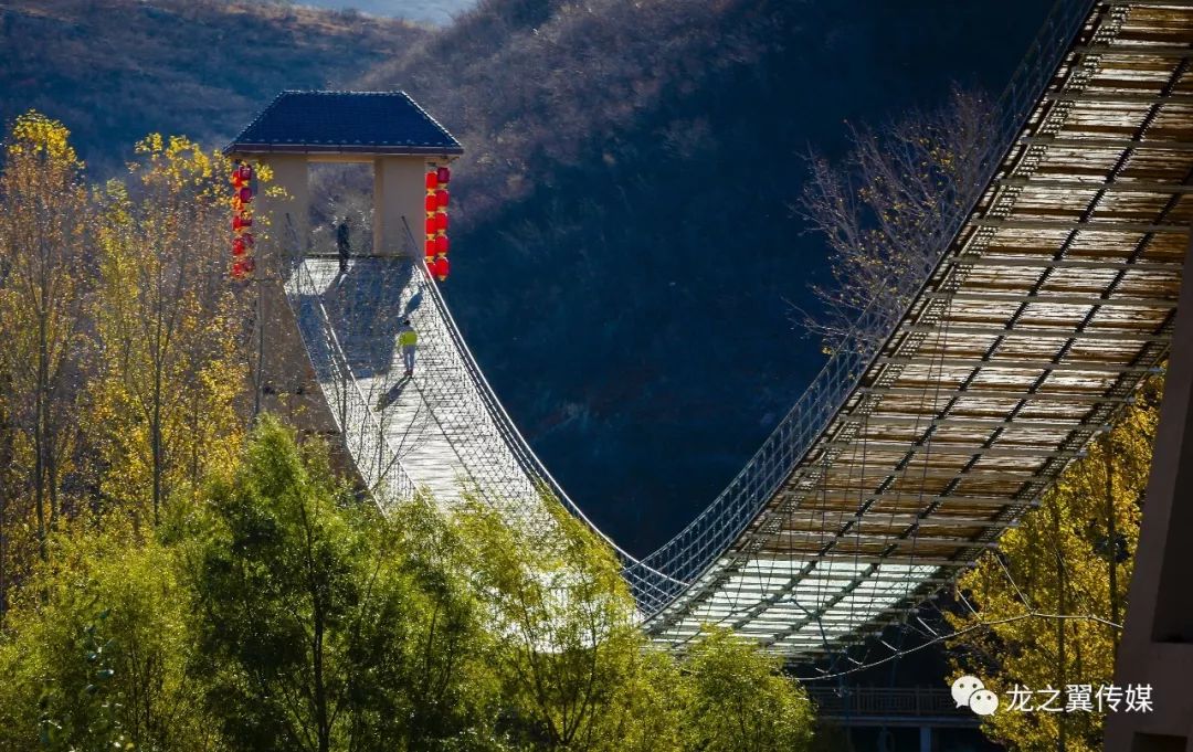 魅力溼地養生溫泉浴龍谷杯攝影大賽獲獎名單