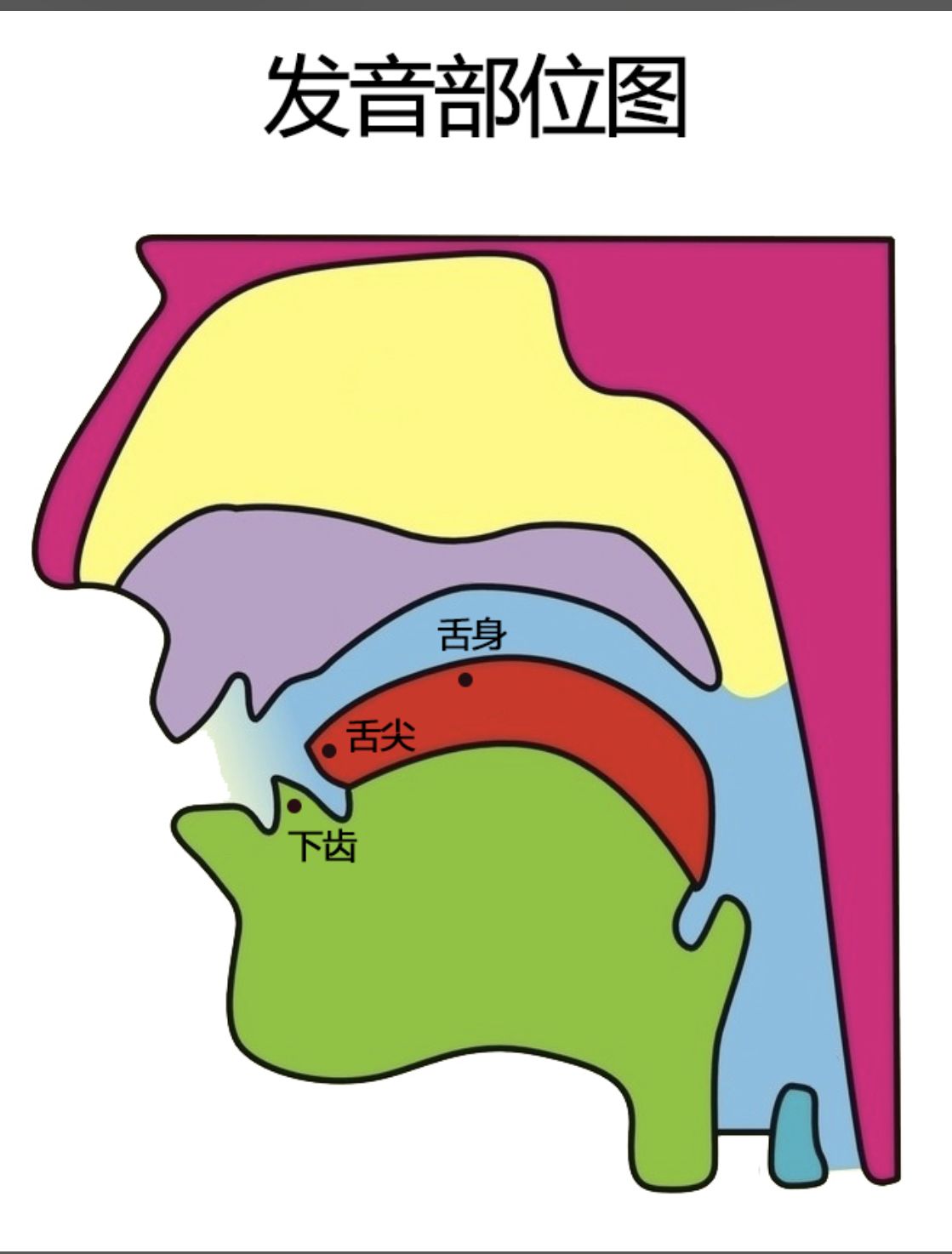 八个基本元音舌位图图片