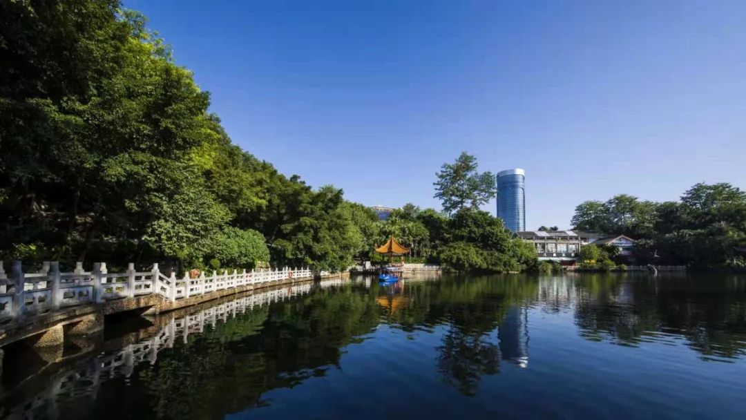 魚峰山公園的早晨