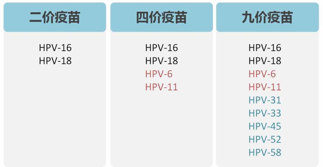 9價疫苗即可以預防9種亞型的hpv病毒,是目前覆蓋範圍最廣的一款.