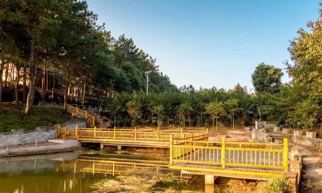 旅游来麻城大龙山庄赏油茶花住木屋别墅垂钓休闲