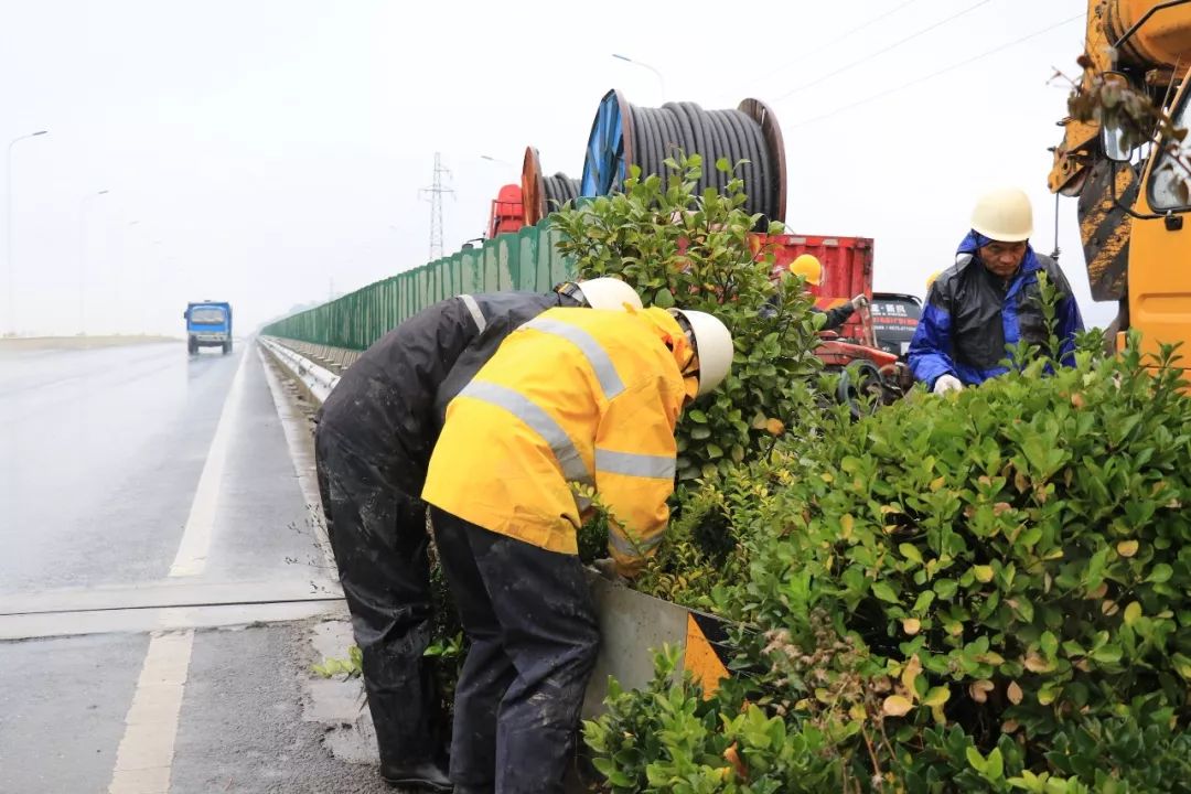 大王叫我來巡路擅自在橋樑上架設電纜的人被我逮住了