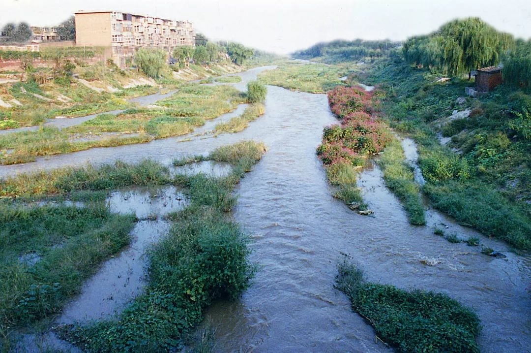 滏阳河老照片图片