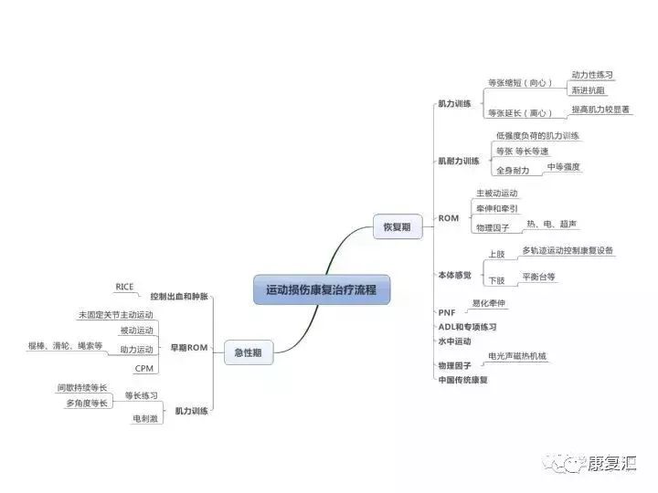 一文读懂康复基础知识思维导图大汇总轻松好记