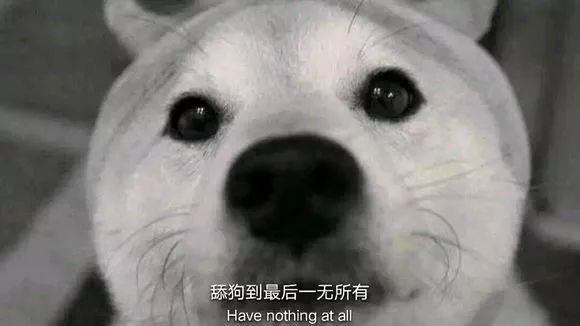 丨爆笑囧圖_表情