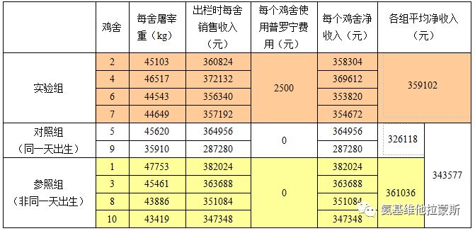 白羽肉鸡料肉比图片