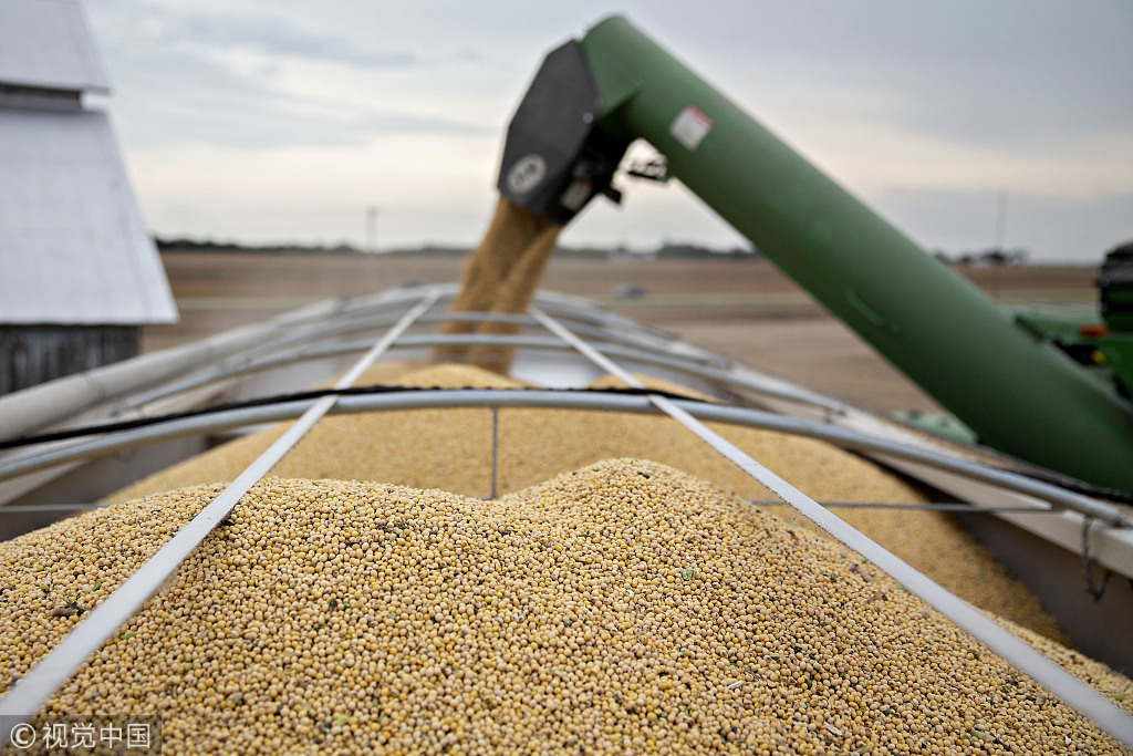 美媒：美國農民的大豆腐爛前，貿易戰能結束嗎？ 國際 第1張