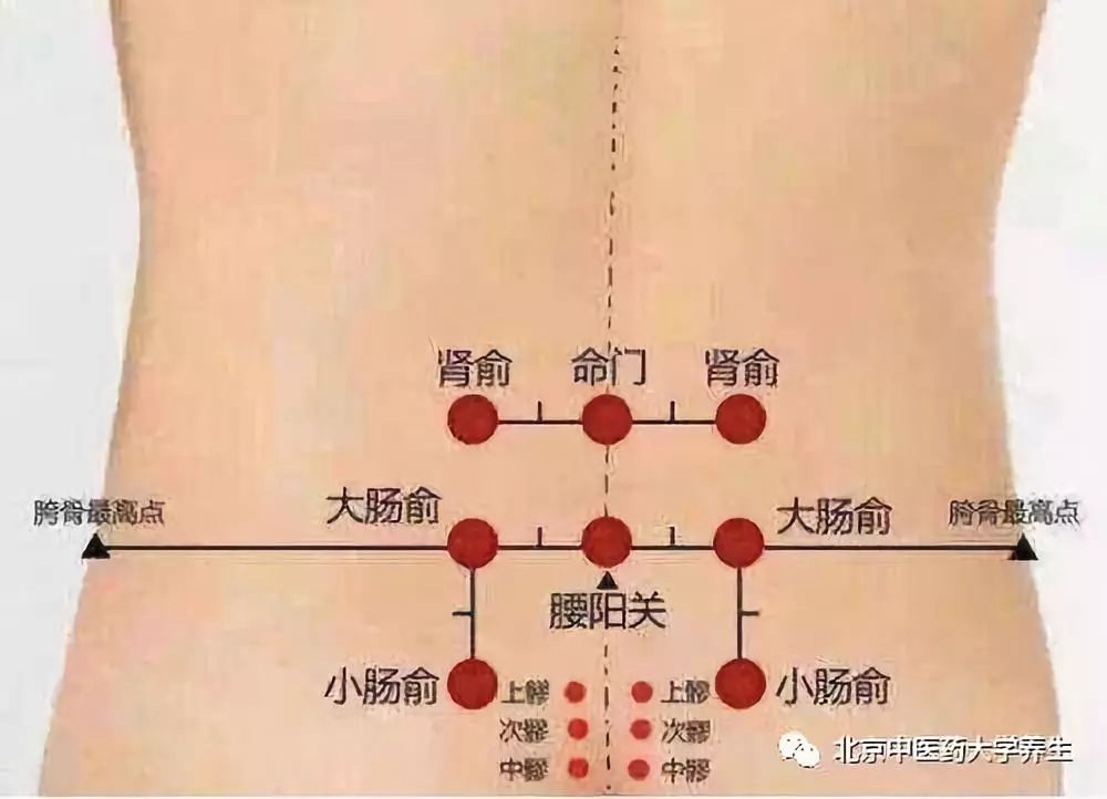 后背疼痛点对应的器官图片