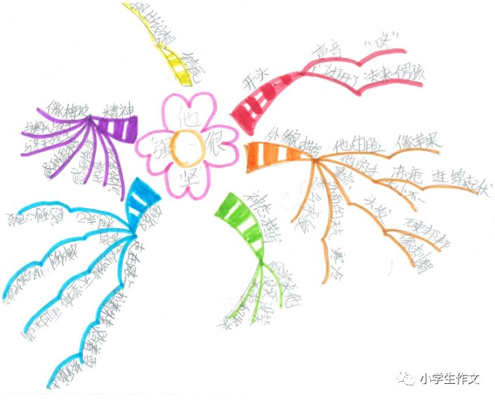 思維導圖寫作文▏他很堅強5年級