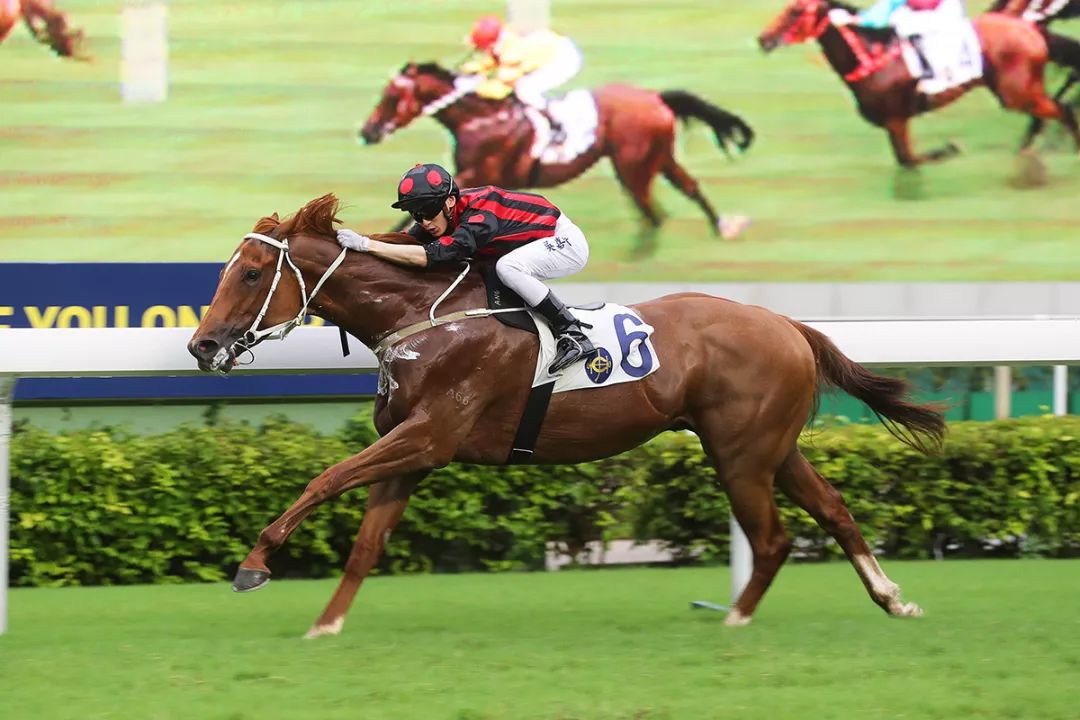 香港vs鄭州河南美食驚豔香港賽馬會