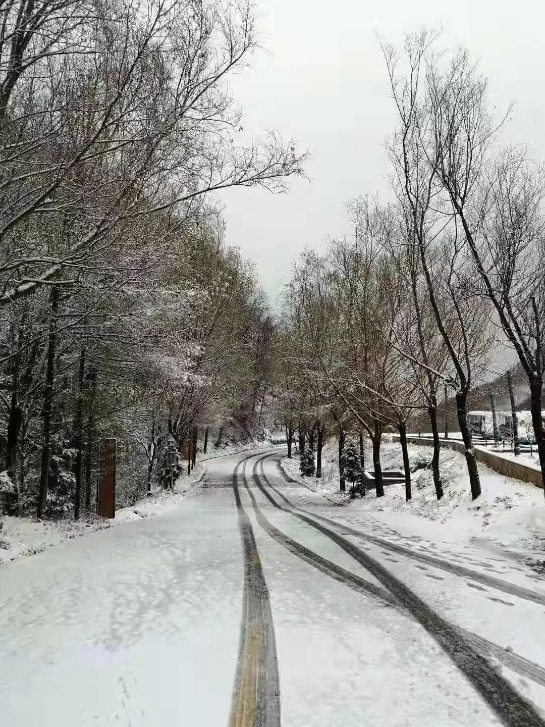 热点难怪这么冷嵩县白云山下雪啦一大波雪景图来袭恍若童话世界