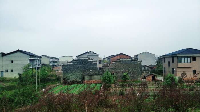 江西省撫州市臨川上頓渡西竹寺秋風乍起醉夢不知秋1095個我愛你