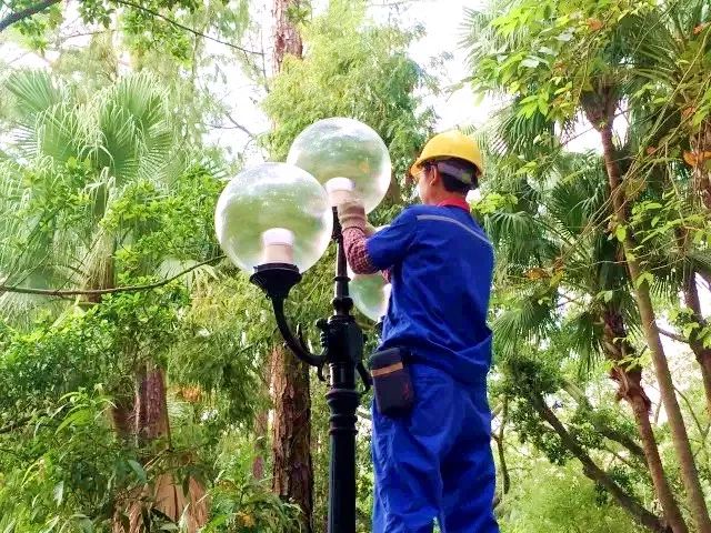 台城这个公园一盏盏崭新的庭院灯沿湖竖起!街坊们纷纷称赞!