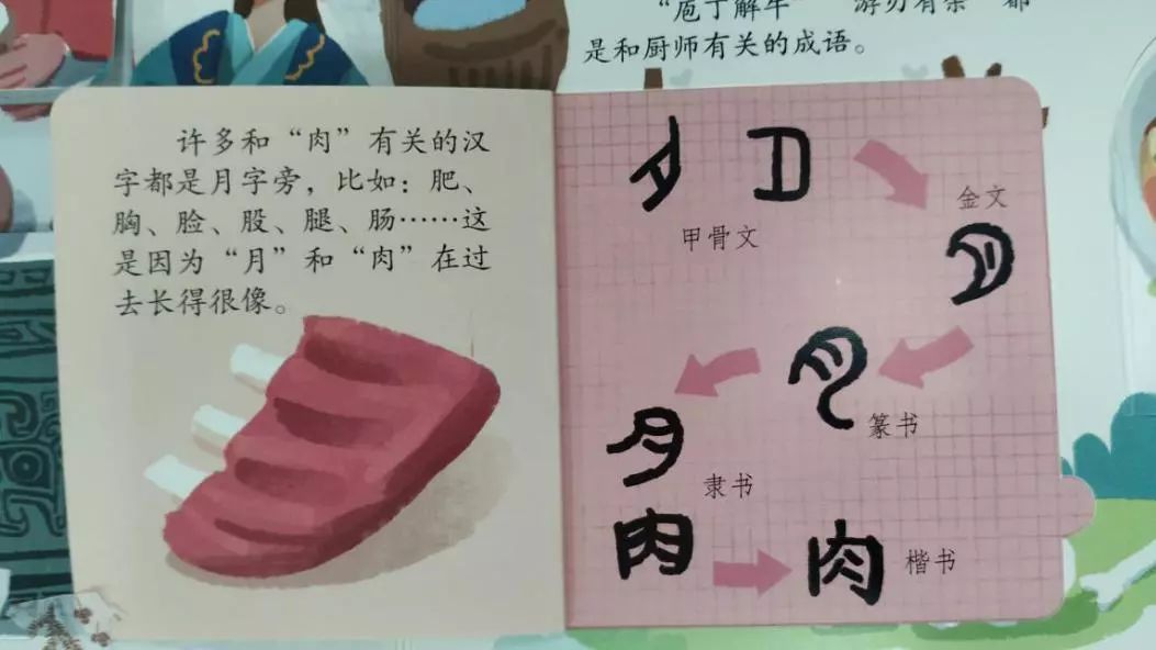 肉月旁的字图片