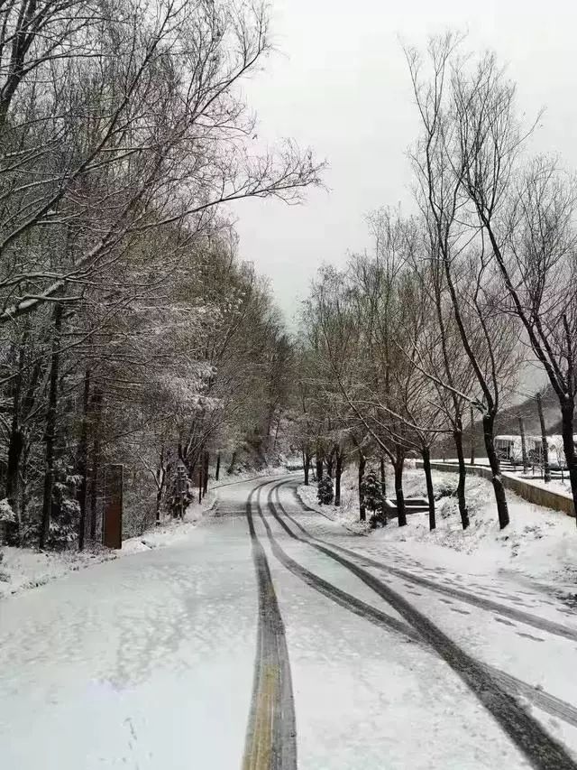 難怪這麼冷嵩縣白雲山下雪啦一大波雪景圖恍若童話世界