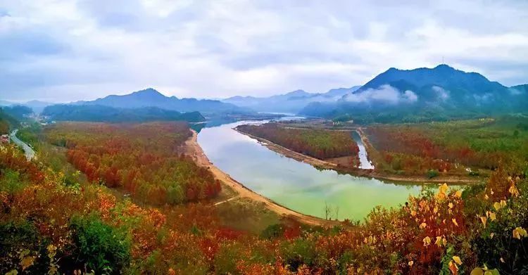 晥南川藏线红杉林颜色指数预告