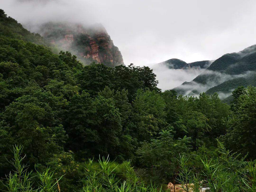 青要山武罗神图片