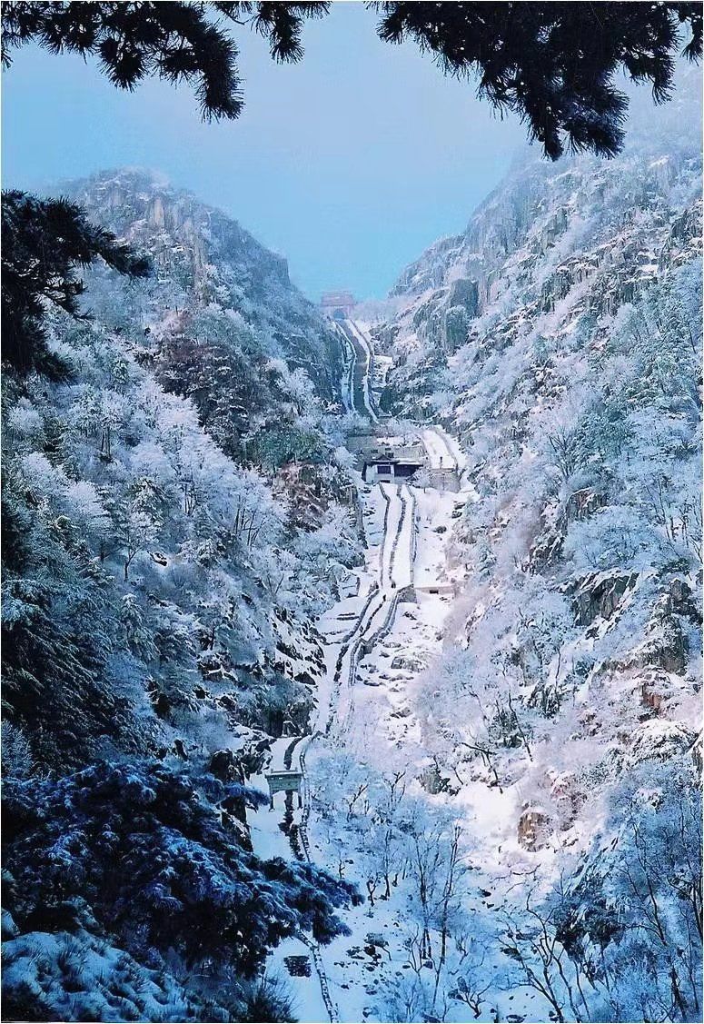 今日立冬北方漫天飄雪廈門卻是溫暖如春想過個暖冬就來廈門