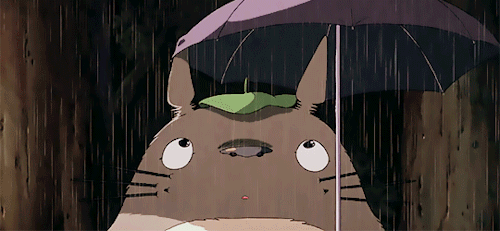 宫崎骏修复版龙猫12月14日国内上映让我们去见龙猫吧