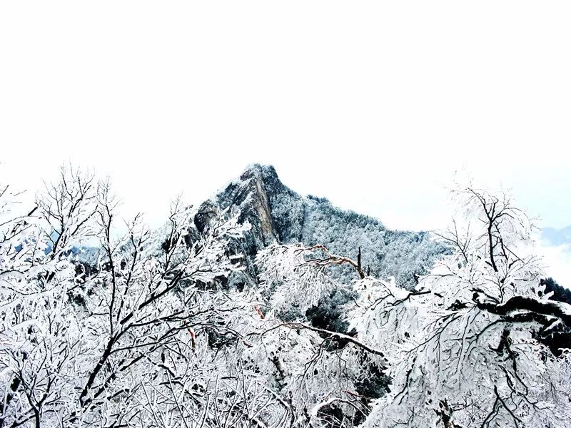 熱點難怪這麼冷嵩縣白雲山下雪啦一大波雪景圖來襲恍若童話世界