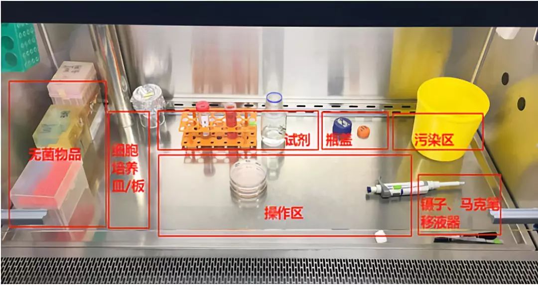 超净台物品摆放位置图片