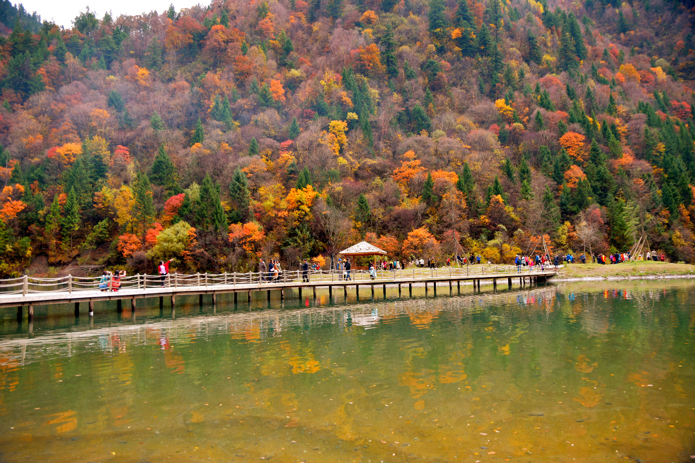 原創
            這裡是黑水奶子溝，我要從你斑斕的色彩世界里路過... 旅遊 第35張