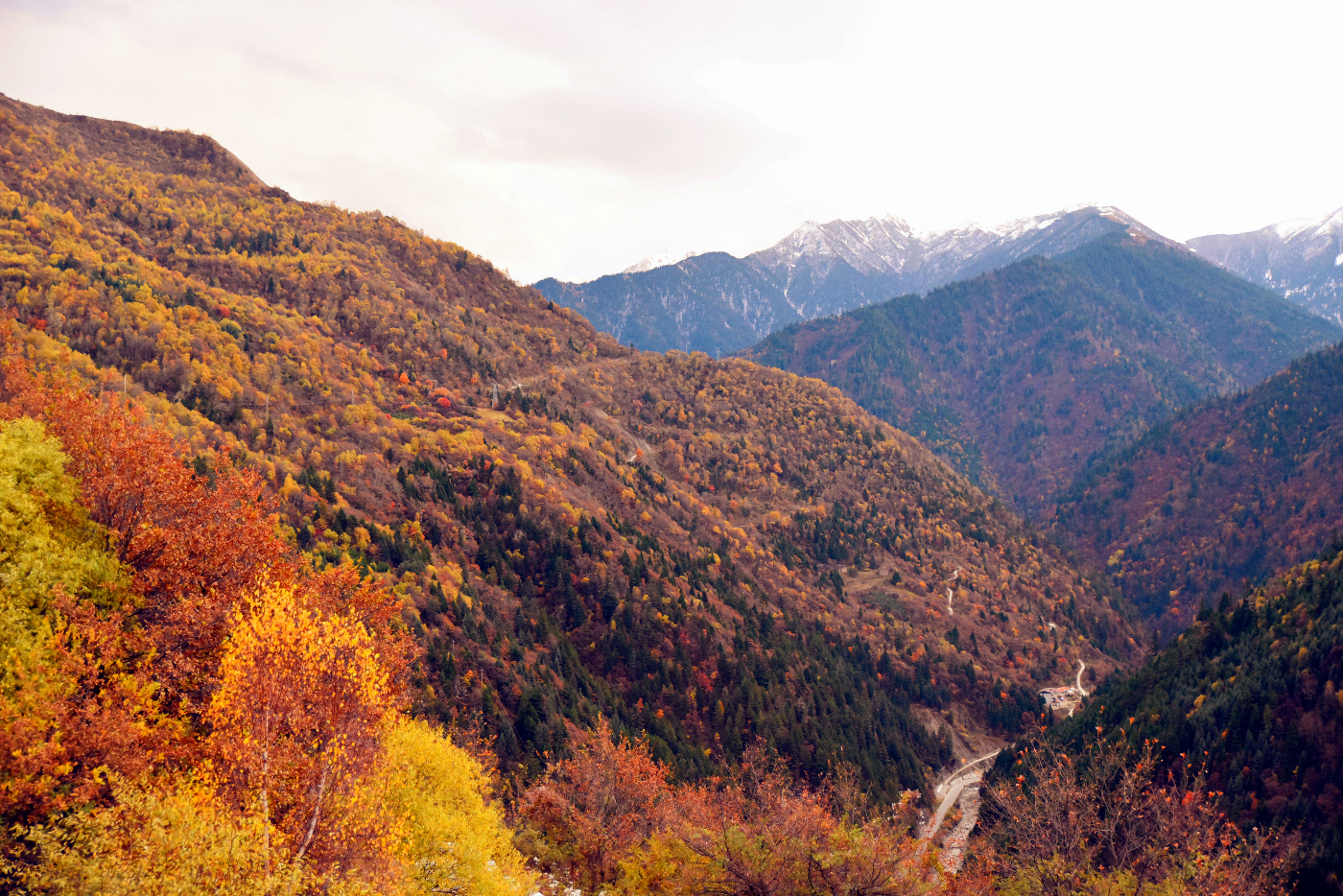 原創
            這裡是黑水奶子溝，我要從你斑斕的色彩世界里路過... 旅遊 第39張