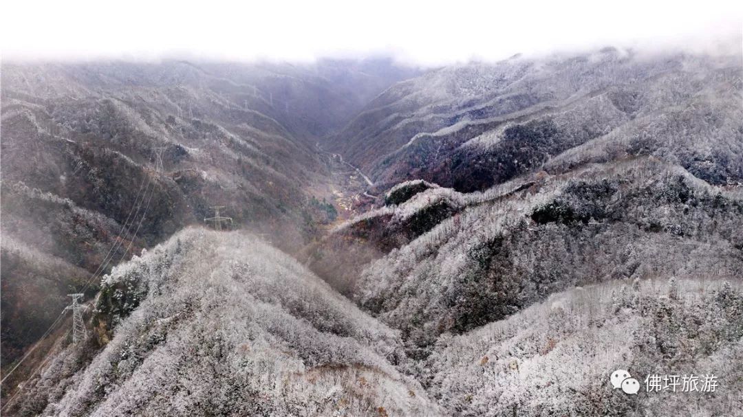 11月5日无人机拍摄的佛坪县凉风垭景区雪景↑11月5日无人机拍摄的