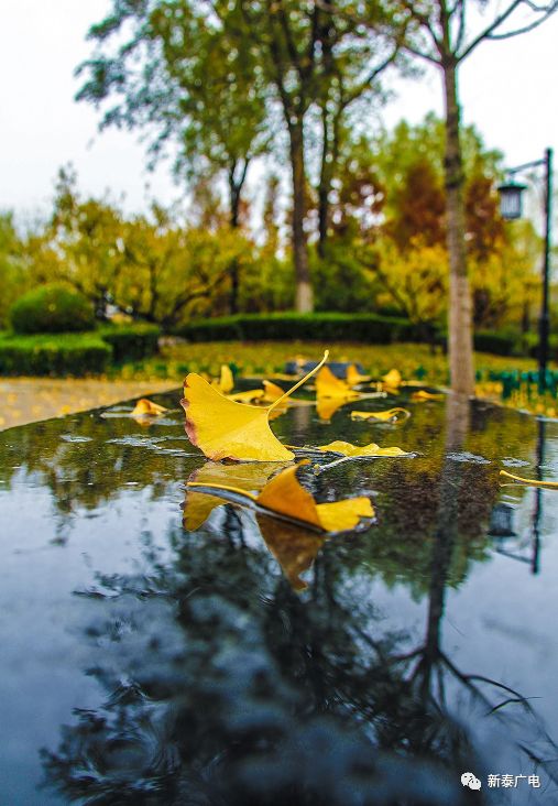 雨后美景图片