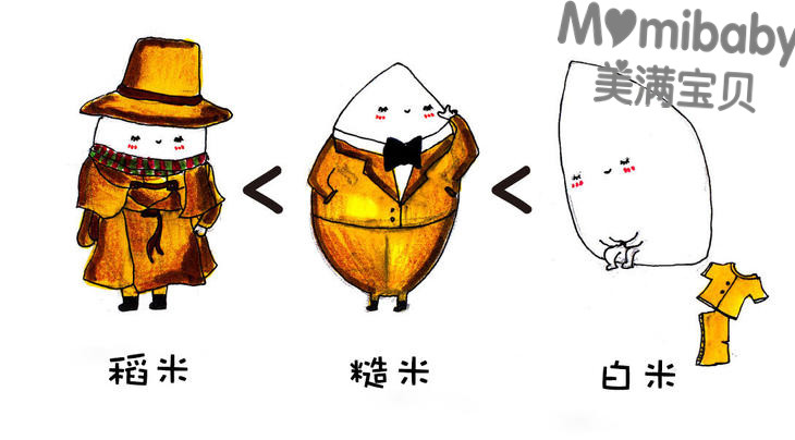 稻米家族卡通人物图片图片