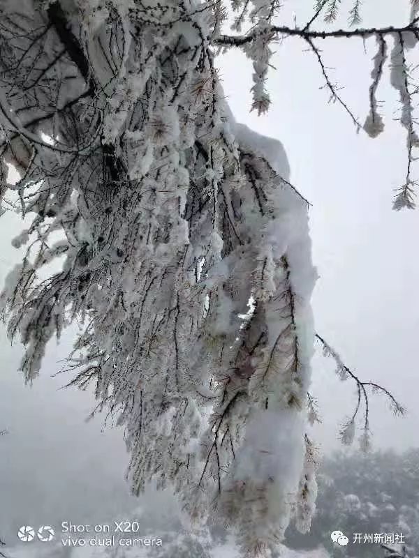 這是昨天開州的雪景圖刷爆朋友圈