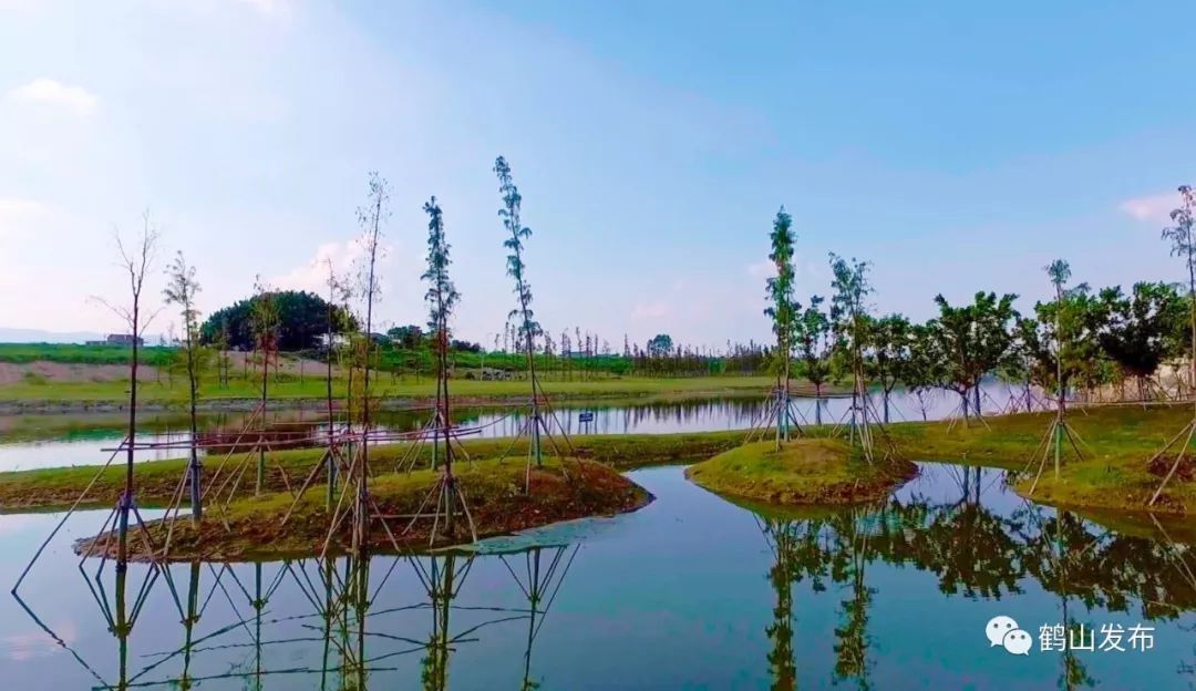 鹤山沙坪湿地公园图片