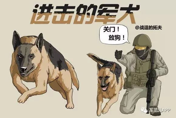 漫画军犬源起一战都8102年了军警方只青睐这7种