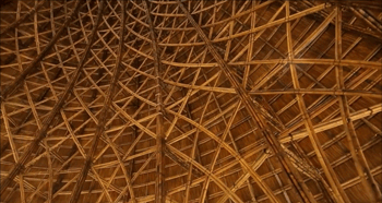 竹子内部结构图片