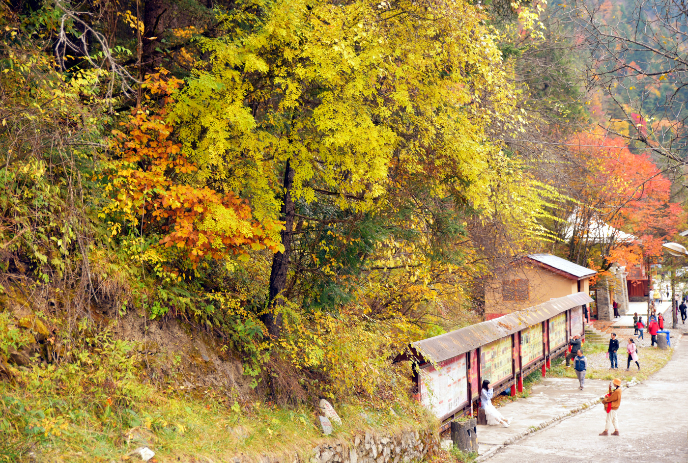 原創
            這裡是黑水奶子溝，我要從你斑斕的色彩世界里路過... 旅遊 第20張