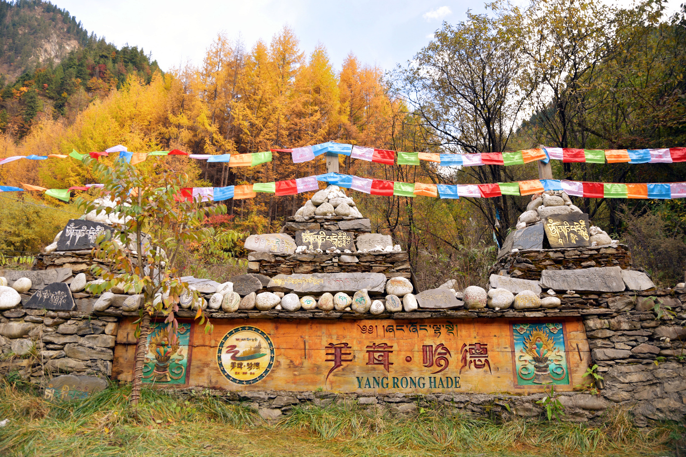 原創
            這裡是黑水奶子溝，我要從你斑斕的色彩世界里路過... 旅遊 第25張