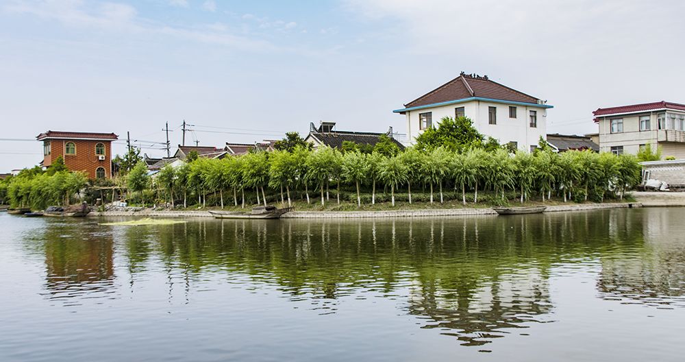 姜堰这个被列入省特色田园乡村建设第三批试点候选的村庄长什么样