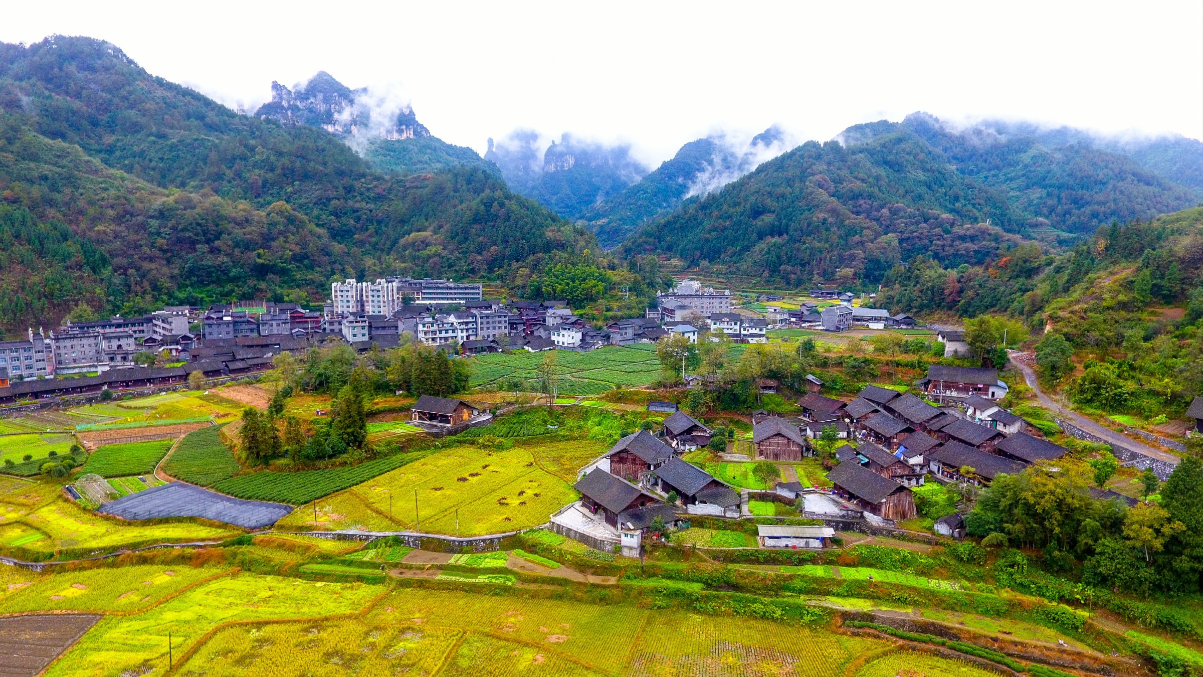 大美湖南 绿行三湘——吕洞山