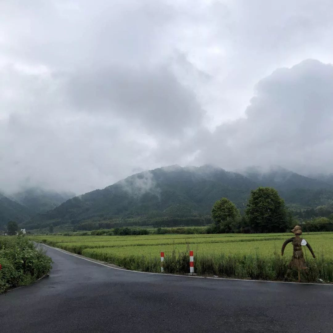 1,中國安徽省黃山市黟縣碧陽鎮碧山村