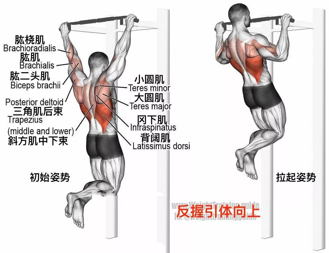 斜体向上的正确姿势图片